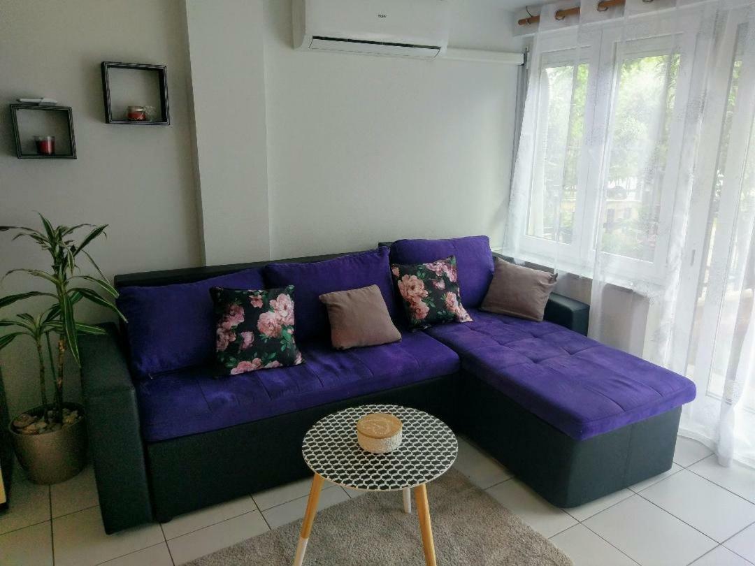 Lovely Apartment With Garden And Terrace غييكا المظهر الخارجي الصورة